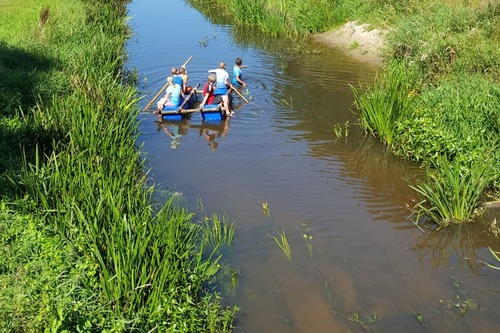 vlotvaren in een riviertje.