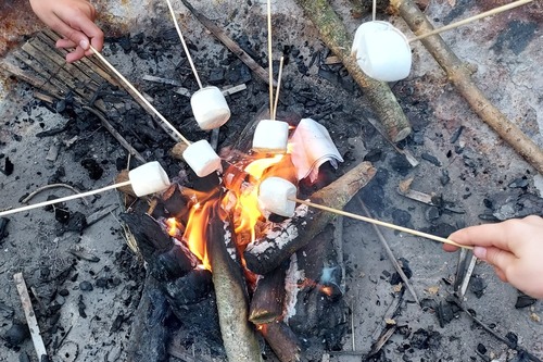 marshmallows roosteren boven een kampvuur.