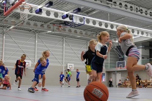 Basketbal