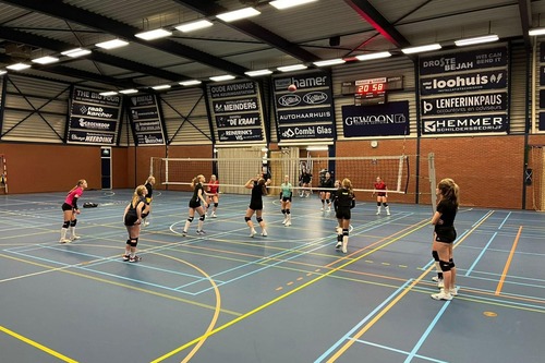 Volleybal