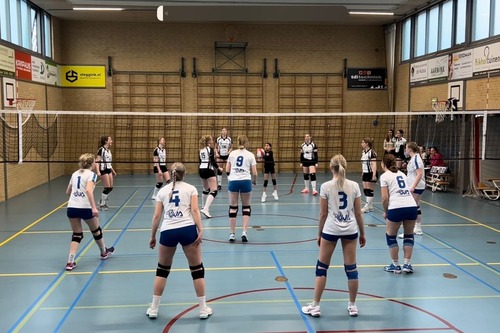 Volleybal