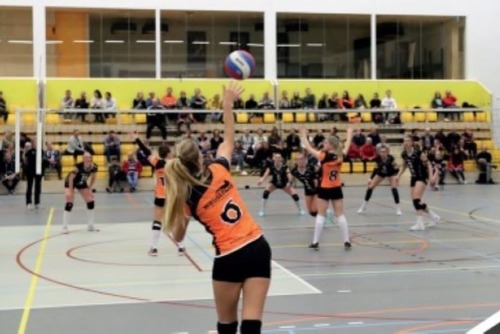 Volleybal